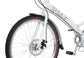 20inch Goa D